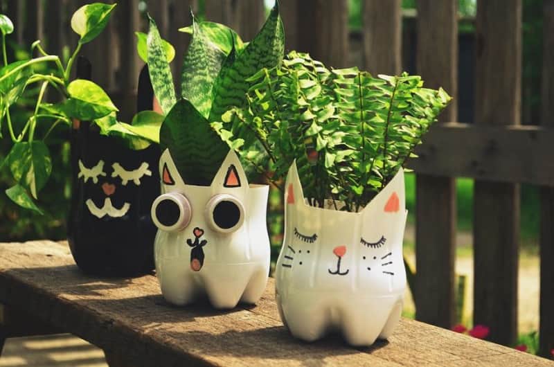 Chậu trồng cây làm từ những chai lọ đã qua sử dụng. (Ảnh: Sưu tầm Internet)