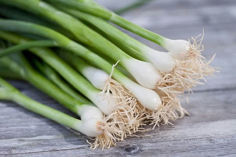 Hành lá rất dễ trồng, ba mẹ có thể dễ dàng hướng dẫn con. (Ảnh: Sưu tầm Internet)