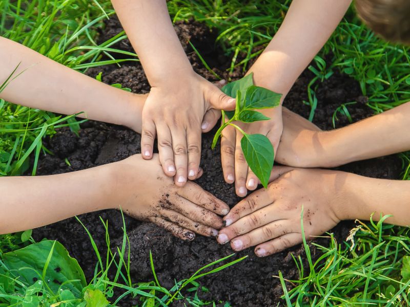 Cùng bé tham gia các hoạt động khám phá ngoài trời. (Ảnh: Sưu tầm internet)