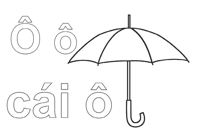 Các chữ cái o, ô, ơ có thể kết hợp với nhiều chữ cái. (Ảnh: Sưu tầm internet)