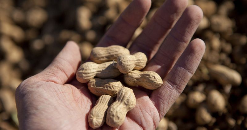 Các thực phẩm dễ khiến trẻ bị ứng sữa mẹ nên hạn chế ăn. (Ảnh: Sưu tầm Internet)