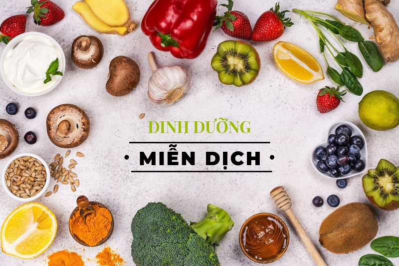 Dinh dưỡng miễn dịch là gì? (Ảnh: Sưu tầm Internet)