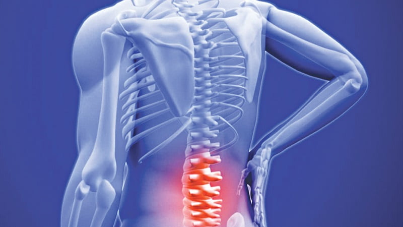 Dinh dưỡng từ cá hồi giảm ngừa loãng xương. (Ảnh: Sưu tầm Internet)