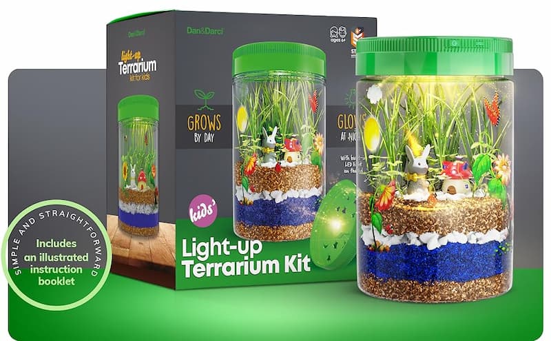 Dan Darci Light-Up Terrarium Kit. (Ảnh: Internet)