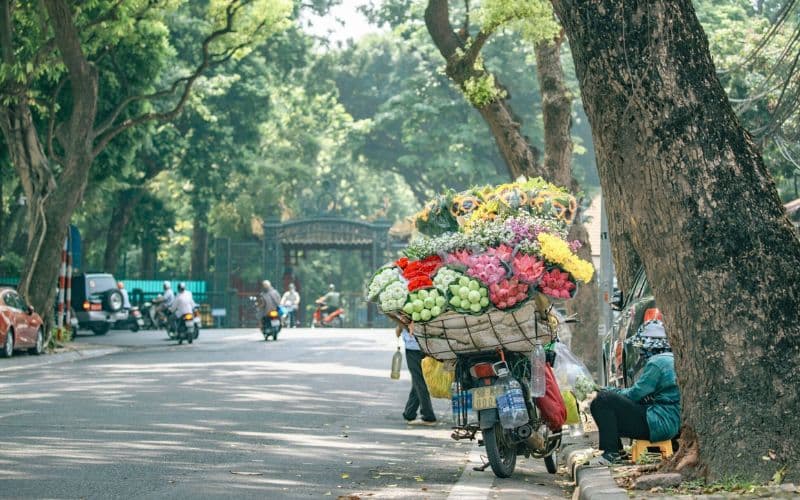 Xe chở hoa - Nét đặc trưng của Thu Hà Nội. (Ảnh: Sưu tầm Internet)