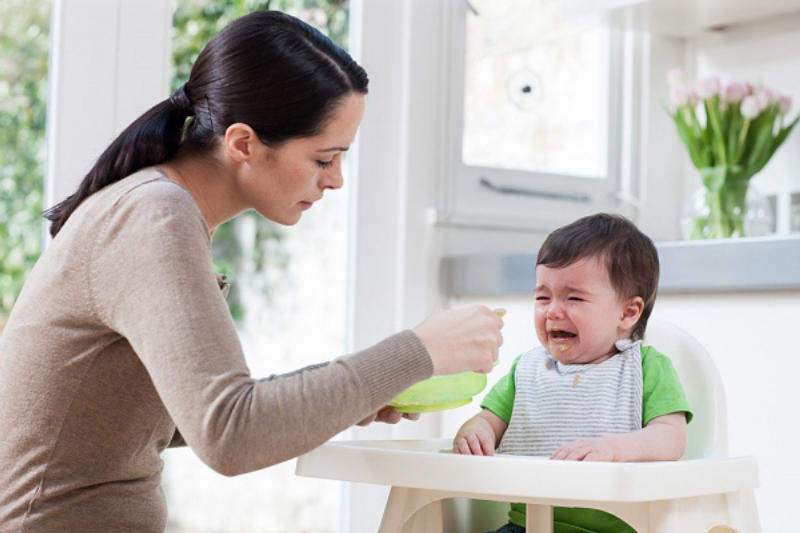  Ghế ăn dặm bằng nhựa có sức chịu lực kém. (Ảnh sưu tầm Internet)