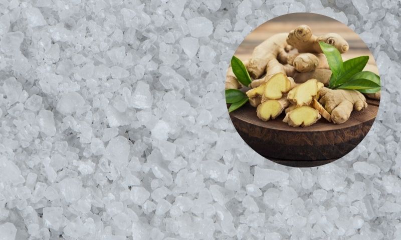 Muối rang gừng đốt cháy mỡ hiệu quả. (Ảnh: Nguồn Internet)