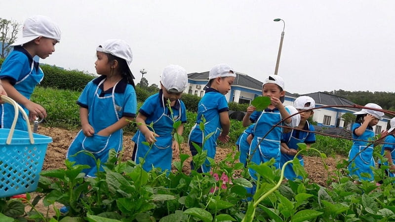 Hoạt động ngoại khóa sẽ khơi gợi nguồn cảm hứng và sáng tạo cho bé. (Ảnh: Sưu tầm Internet)