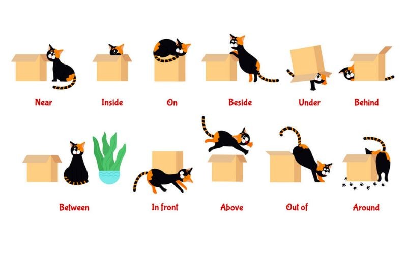 Giới từ chỉ vị trí là kiến thức ngữ pháp phổ biến khi học tiếng Anh (Ảnh: Sưu tầm internet)