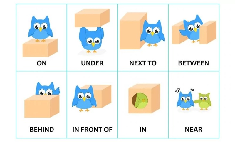 Cần nắm rõ cách sử dụng giới từ vị trí đúng ngữ pháp câu (Ảnh: Sưu tầm internet)