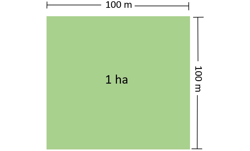 Đặc điểm của đơn vị hecta. (Ảnh: Sưu tầm internet)
