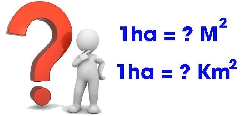 Việc nắm rõ các quy tắc chuyển đổi các đơn vị với hecta rất quan trọng. (Ảnh: Sưu tầm internet)