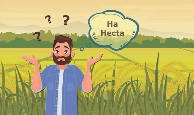 Có nhiều dạng bài tập liên quan tới đơn vị hecta. (Ảnh: Sưu tầm internet)