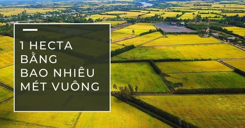 Để học tốt kiến thức hecta, cần nắm rõ lý thuyết đến thực hành thường xuyên. (Ảnh: Sưu tầm internet)