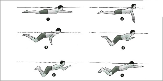 Các bước tập bơi ếch đơn giản. (Ảnh: Sưu tầm internet)