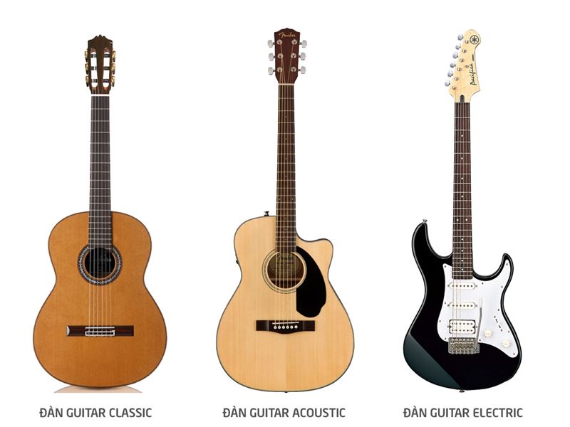 Các loại đàn guitar phổ biến. (Ảnh: Internet)