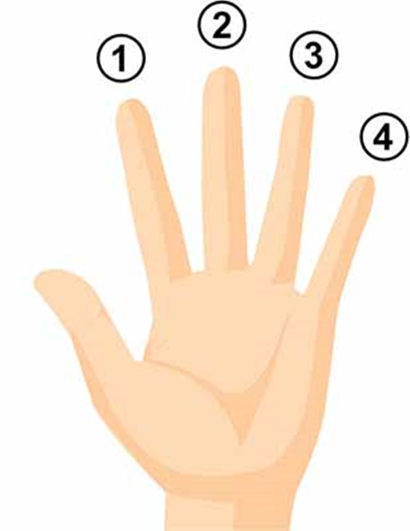 Mô phỏng ngón tay khi sử dụng đàn. (Ảnh: Internet)