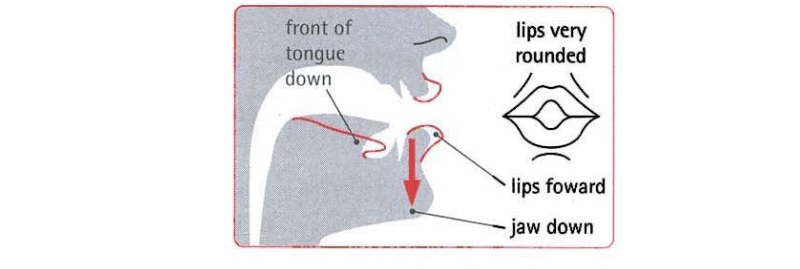 Khẩu hình miệng “OU“ phát âm là /ɔː/. (Ảnh: Sưu tầm internet)