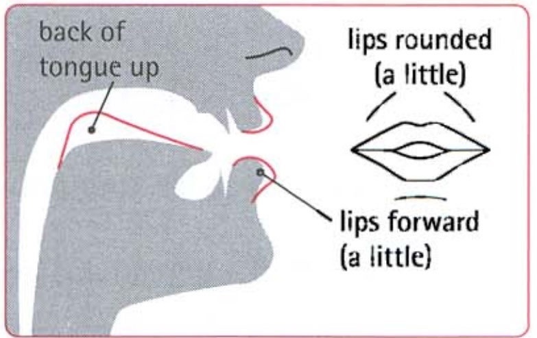 Khẩu hình miệng khi “OU“ phát âm là /ʊ/. (Ảnh: sưu tầm internet)