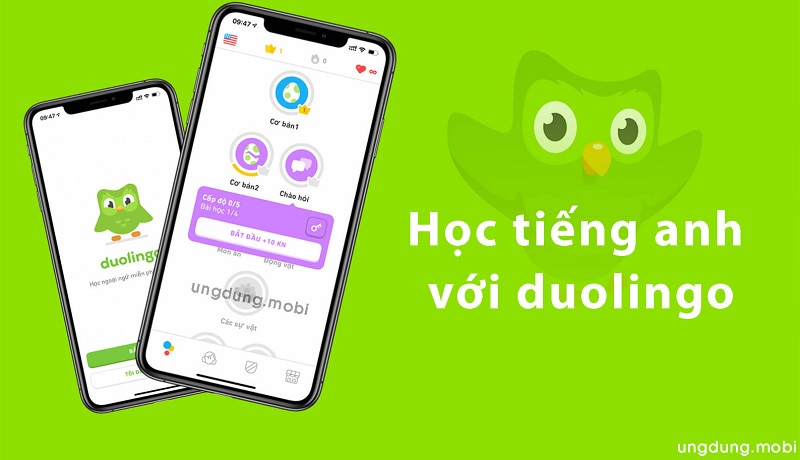 Nâng cao hiệu quả học tiếng Anh dễ hiểu cùng Duolingo (Ảnh: Duolingo)