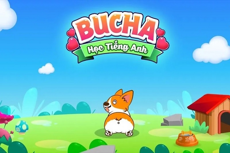 Ứng dụng học tiếng Anh từ đầu dễ hiểu Bucha (Ảnh: Bucha)