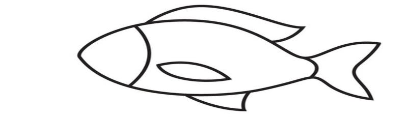 Các bước vẽ con cá – bước 5. (Ảnh: Sưu tầm internet)