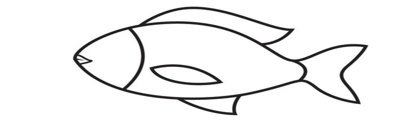 Các bước vẽ con cá – bước 6. (Ảnh: Sưu tầm internet)