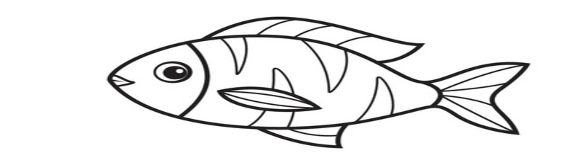 Các bước vẽ con cá – bước 7. (ảnh: Sưu tầm internet)