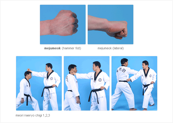 Kỹ thuật đòn chặt tay trước trong Taekwondo. (Ảnh: Sưu tầm internet)