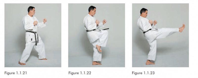 Kỹ thuật đá trước trong võ Taekwondo. (ảnh: Sưu tầm internet)