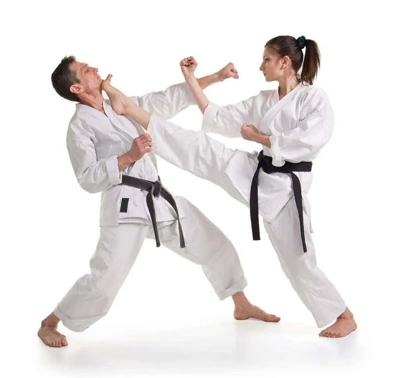 Taekwondo là bộ môn thiên về kỹ thuật đá chân rất nhiều. (Ảnh: Sưu tầm internet)