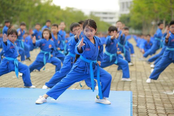 Vovinam là môn võ truyền thống của Việt Nam. (Ảnh: Sưu tầm internet)