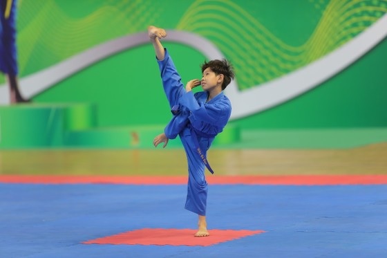 Khi học võ Vovinam cần có tiến trình rõ ràng. (Ảnh: Sưu tầm internet)