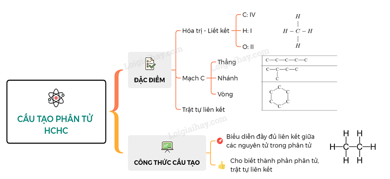 Có 3 loại mạch cacbon.