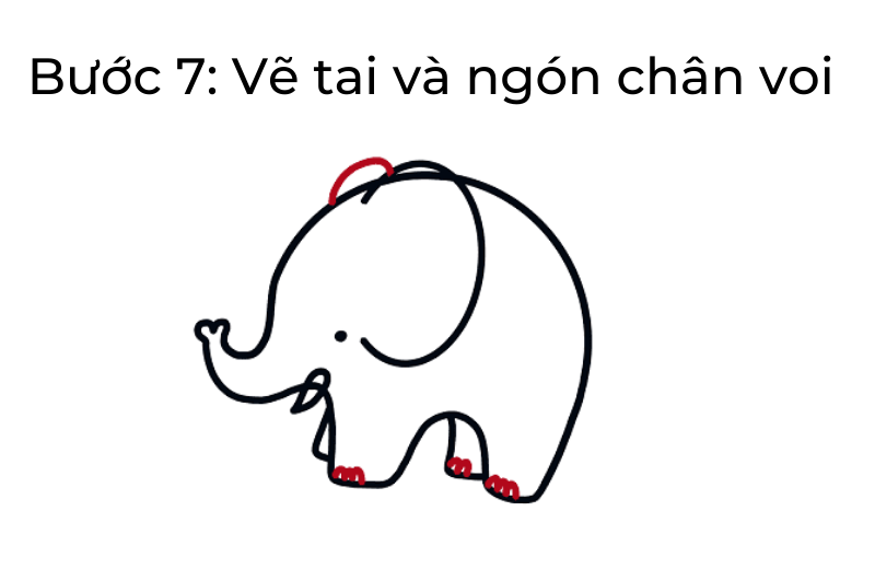 Vẽ tai và ngón chân voi. (Ảnh: Sưu tầm Internet)