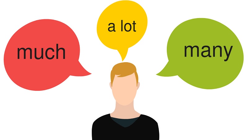Giữa Much, Many và A lot of sẽ có cách dùng khác nhau. (Ảnh: Sưu tầm internet)