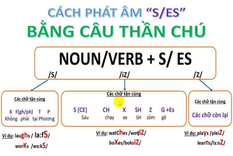 Hướng dẫn cách phát âm s/es trong tiếng Anh. (Ảnh: Sưu tầm internet)