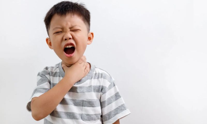 Những nguyên nhân gây hóc sặc ở trẻ nhỏ. (Ảnh: Nguồn Internet)