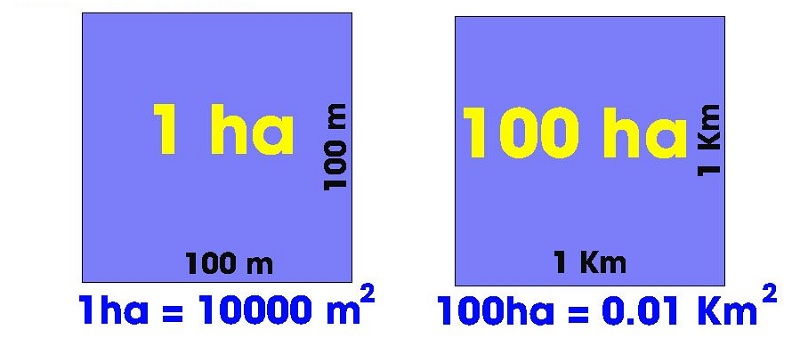 Theo hệ thống đo lường, 1km2 = 100 ha. (Ảnh: Sưu tầm internet)