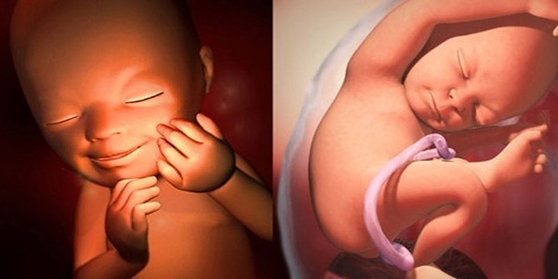 Thai nhi ngay từ trong bụng mẹ đã có sự phát triển đáng ngạc nhiên. (Ảnh: Sưu tầm Internet)