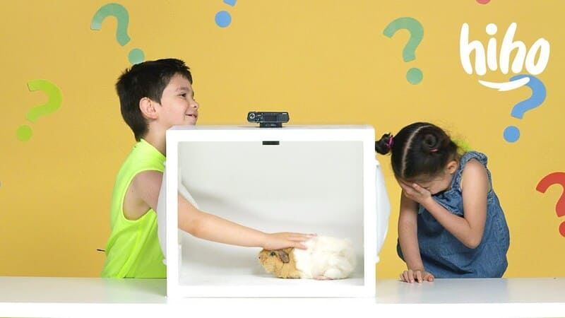 Trò chơi đoán đồ vật con vật. (Ảnh: Internet)