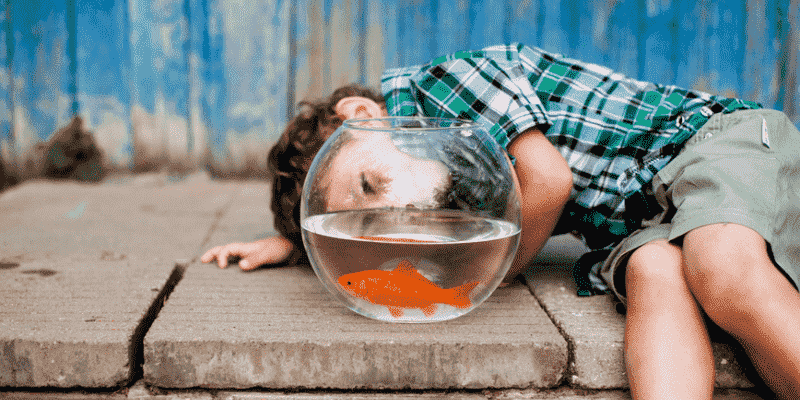 Kỹ năng sống cho bé trai 12 tuổi - Cách thể hiện cảm xúc, tình cảm và chia sẻ với người khác. (Nguồn: Internet)