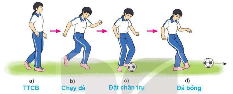 Các giai đoạn trong kỹ thuật đá bóng bằng lòng bàn chân. (Ảnh: SGK GDTC 10)