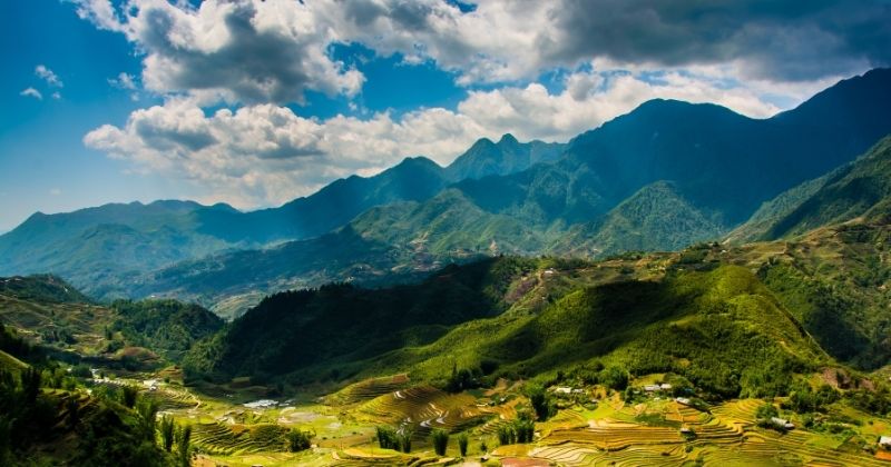 Tại vùng núi Sapa có nhiều loại thảo dược quý (Ảnh: Sưu tầm Internet)