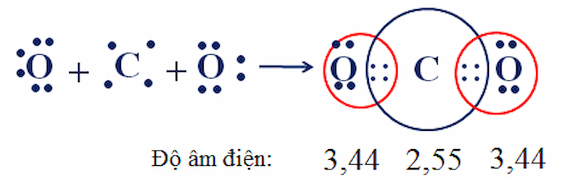 Sự hình thành phân tử CO2 cấu tạo thẳng. (Ảnh: Sưu tầm Internet)