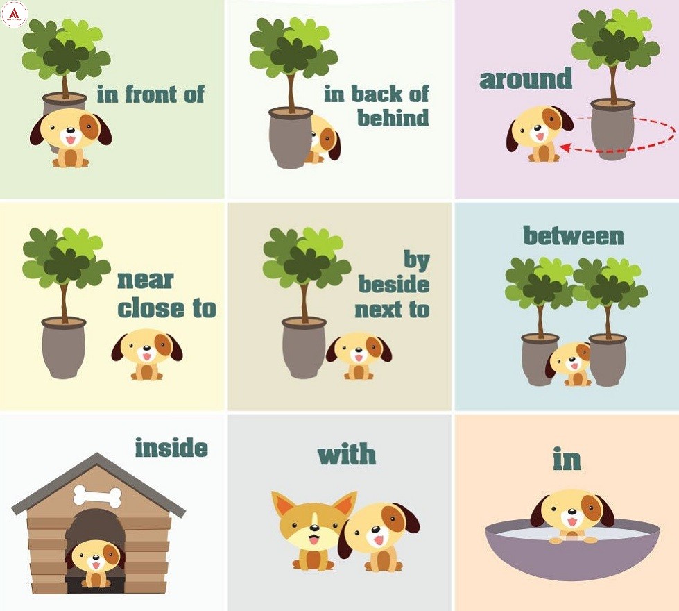 Giới từ trong tiếng Anh là gì? (Ảnh: Internet)