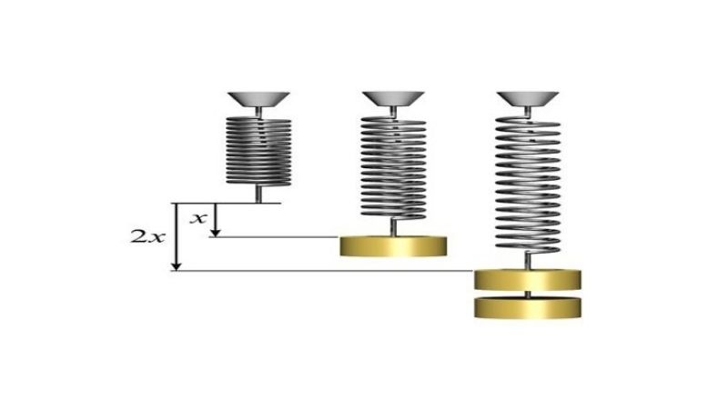 Độ dãn của lò xo theo phương thẳng đứng tỉ lệ thuận với khối lượng vật treo. (Ảnh: Sưu tầm Internet)