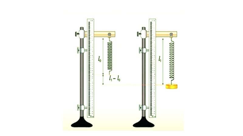 Đo độ dãn của lò xo qua những lần treo quả nặng khác nhau. (Ảnh: Sưu tầm Internet)