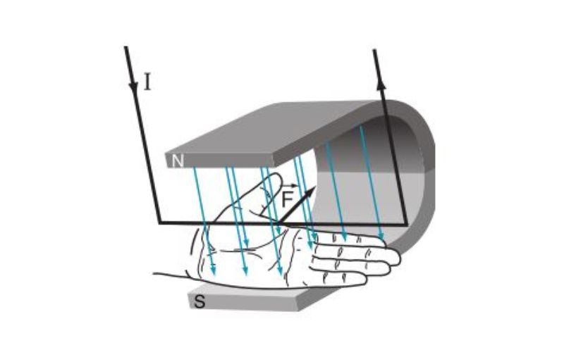 Quy tắc bàn tay trái xác định chiều của lực điện từ. (Ảnh: Sưu tầm Internet)