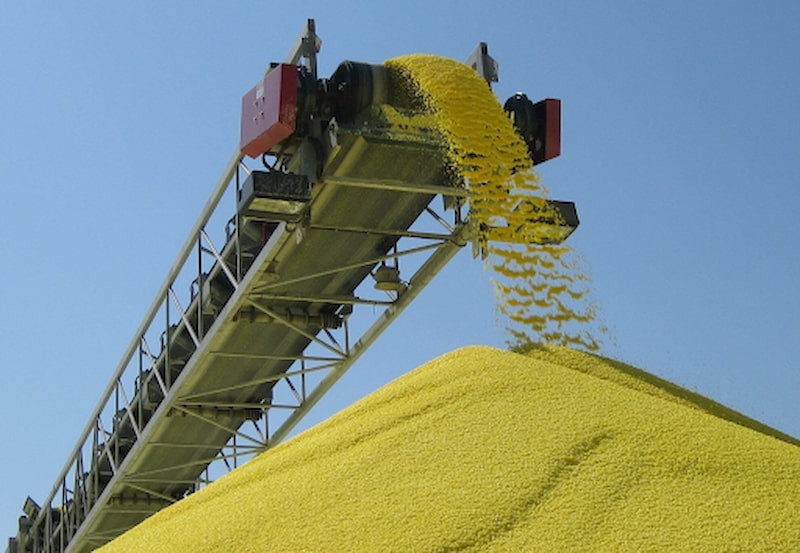 Lưu huỳnh có độc không? (Ảnh: Sưu tầm Internet)